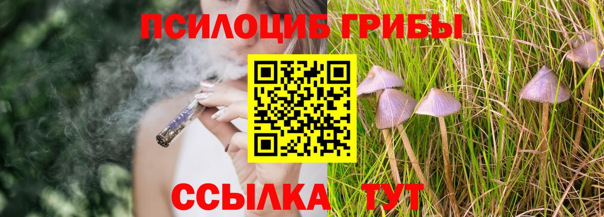 Псилоцибиновые грибы Psilocybe  Вход с VPN  Керчь 